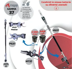 Motosega ARVIPO ST37 con 2 batterie 21.6V 5Ah – 